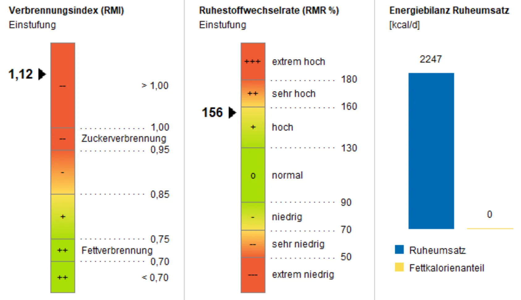 Beispielauswertung mit Verbrennungsindex, Ruhestoffwechselrate und Energiebilanz